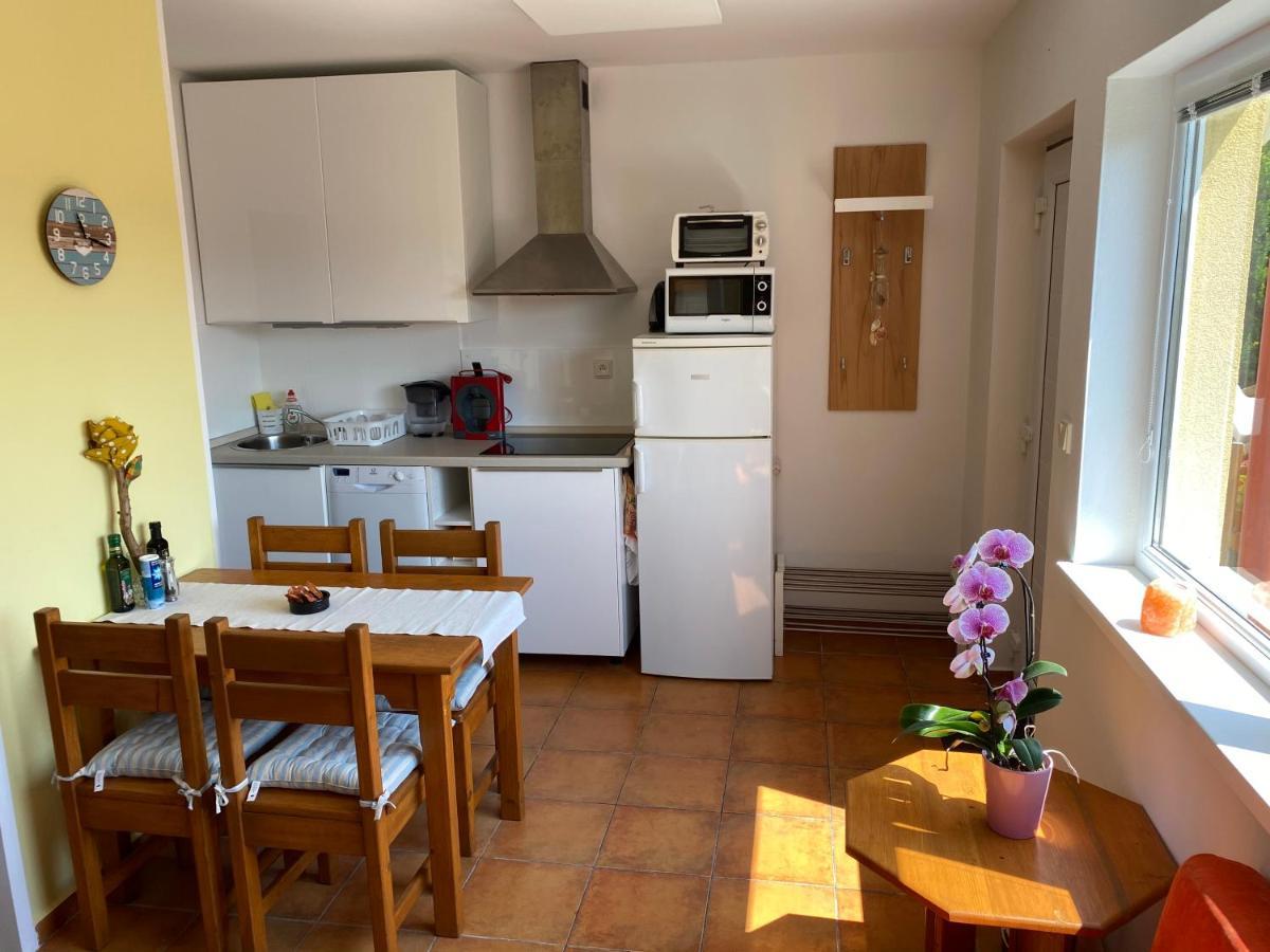 סנץ Apartman Delfin מראה חיצוני תמונה